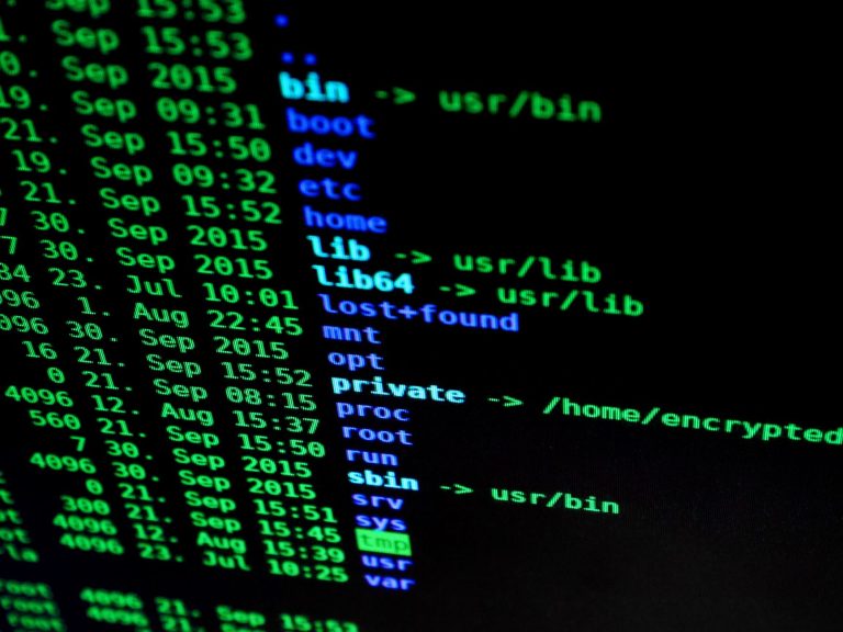 Impossible de trouver le paquet — écran d'ordinateur montrant le terminal Debian
